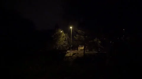Lamp post street light night pine trees bridge creek creepy mysterious Terra Stock Footage 340896942