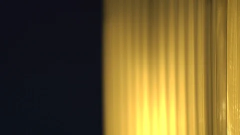 Lamp shell lighten up, close up, stockvideo Stock Footage 86769324