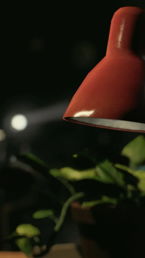 Lamp shines light on plant in dark room with focus on details Stock Footage 340262593