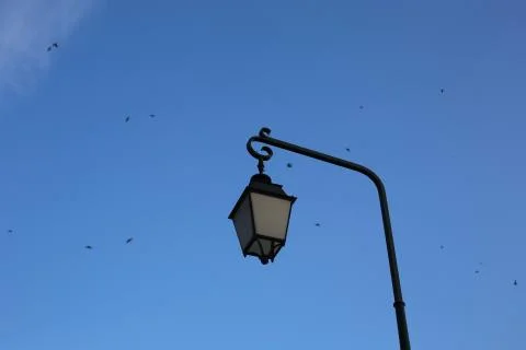 Lamp + Sky + Martins Stock Photos