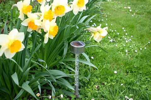 Lamp on the solar panel in the garden. Stock Photos