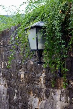 Lamp on the stone wall, covered with green branches Stock Photos