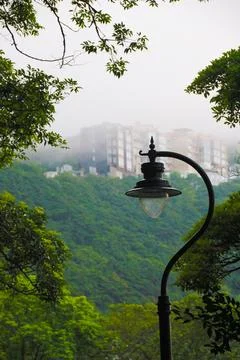 A lamp turned off on a cloudy day surrounded by vegetation. Stock Photos