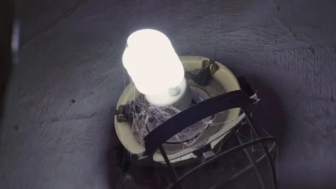 Lamp in the web on the old wall Stock Footage 102177381