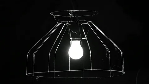 Lamp with a wire shade, insects fly Stock Footage 116884717