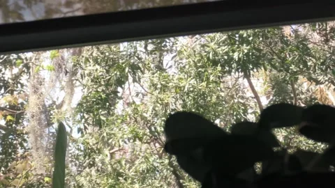 Lamp zoom out normal2 Stock Footage 150179894