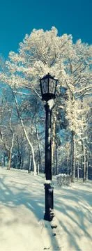 Lamppost on a background of bare trees on the slope Stock Photos