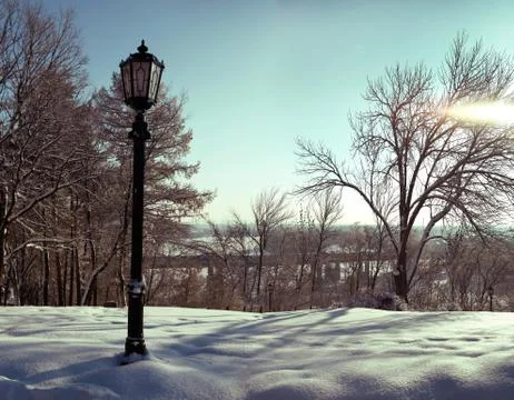 Lamppost on a background of bare trees in winter Stock Photos