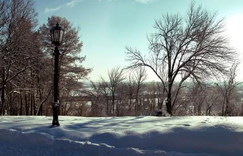 Lamppost on a background of bare trees in winter Stock Photos