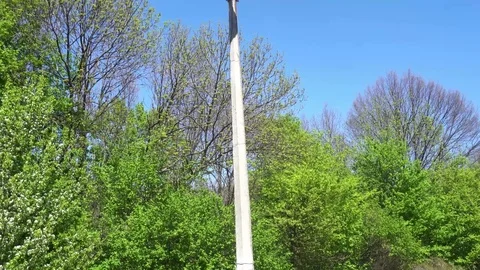A lamppost on the background of trees and blue sky Stock Footage 75445820