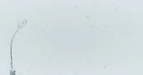 Lamppost during snowfall Stock Footage 146484521