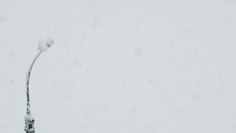 Lamppost during snowfall Stock Footage 146485098