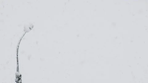 Lamppost during snowfall Stock Footage 146485115
