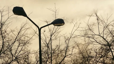 Lamppost in the dusk, winter time Stock-Footage 70886928