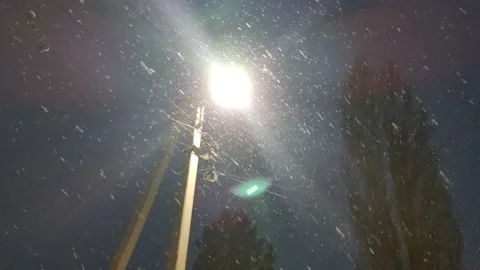 Lamppost Video stock 225003238