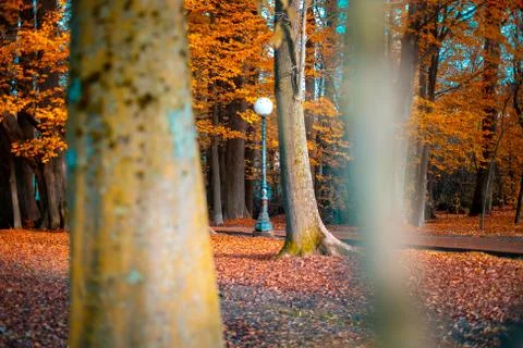 Lamppost of light in a park in winter Stock Photos