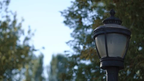 Lamppost in the Park 库存影片 93843193