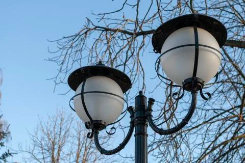 Lamppost under bald trees Stock Photos