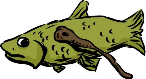 Lamprey Eating a Fish Stock Illustration