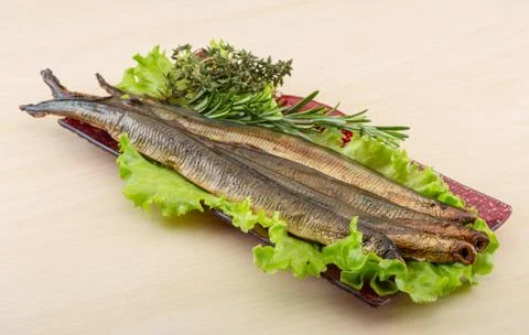 Lamprey Stock Photos