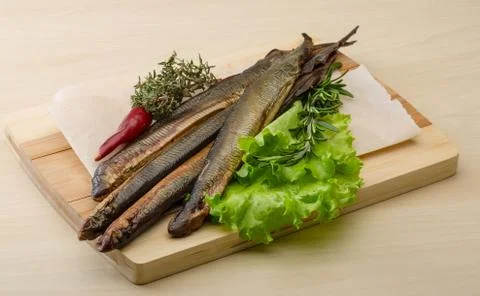 Lamprey Stock Photos