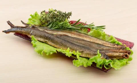 Lamprey Stock Photos