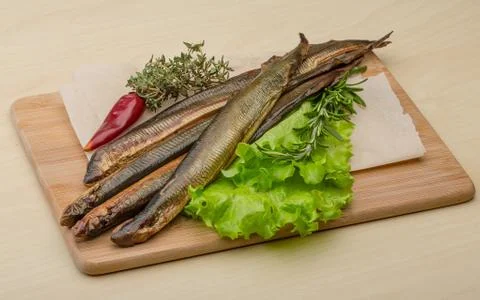 Lamprey Stock Photos