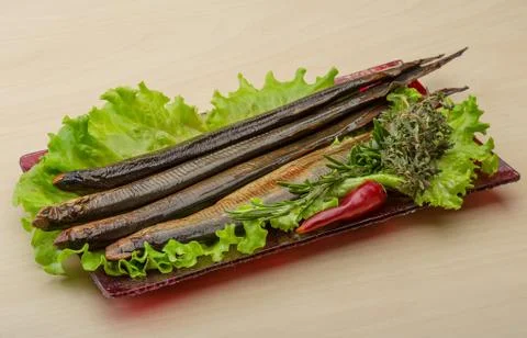 Lamprey Stock Photos