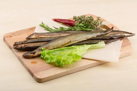 Lamprey Stock Photos