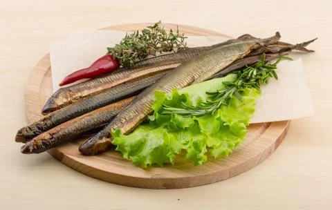 Lamprey Stock Photos