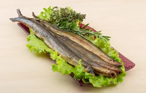 Lamprey Stock Photos