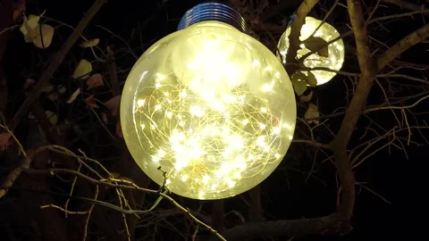 Lamps on the Tree Video Video stock 259555018