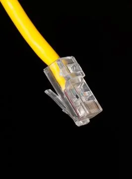 Lan cable close up Stock Photos