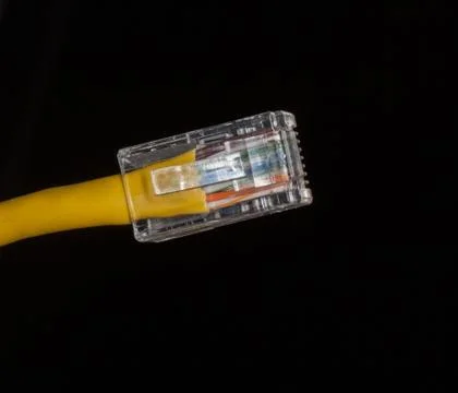 Lan cable close up Stock Photos