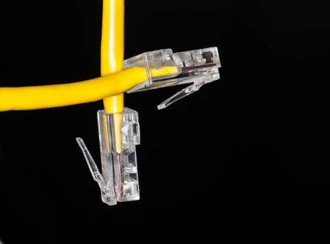 Lan cable close up Stock Photos