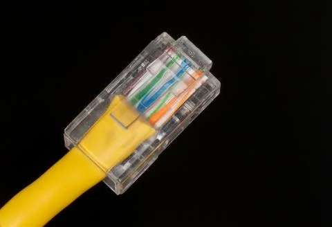 Lan cable close up Stock Photos