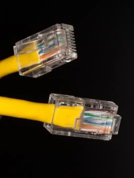 Lan cable close up Stock Photos