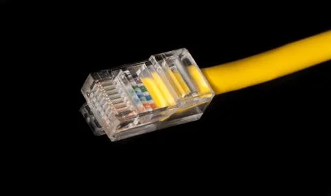 Lan cable close up Stock Photos