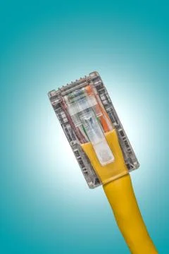 Lan cable close up Stock Photos