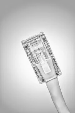 Lan cable close up Stock Photos