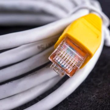 LAN Cable in close up Foto stock
