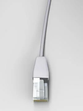 Lan cable 库存插图