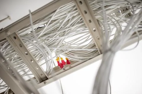 Lan cable in network room Stock Photos