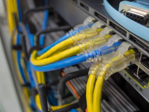 The LAN cable Stock Photos