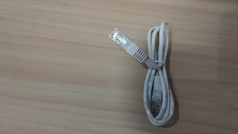 LAN Cable  库存照片