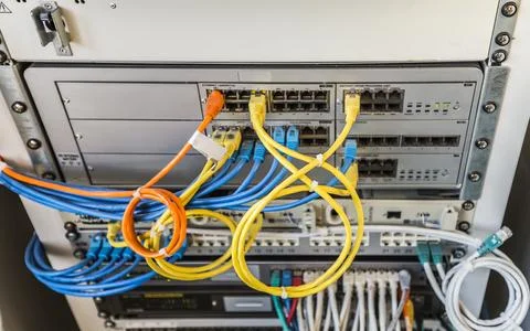 Lan cable in a switch Stock Photos