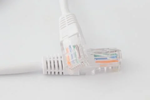 LAN cable on a white background. Stock Photos