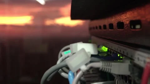 LAN cables plugged in a machine Stock Footage 249403009