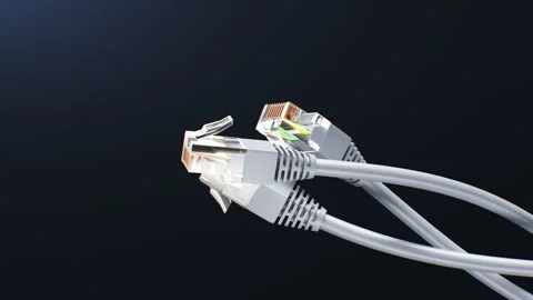 LAN Cables Turning on Black Background Loop 3d Animation. Ethernet Plugs and Video stock 310134736