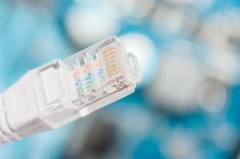 Lan network cable closeup 스톡 사진